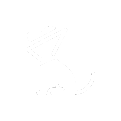 pet surgery icon